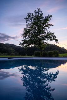 Villa Bergzauber - Rossleithen - 9