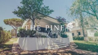 Pine House - Faro Airport, Beach and City Center - Faro - 0
