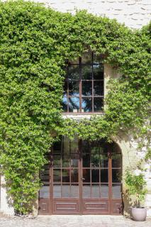 Domaine du Moulin de Villefranche - Pernes-les-Fontaines - 7