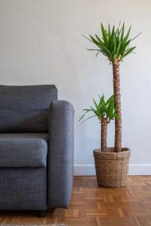Bright flat in the heart of Vieux Lille. - Lille - 2