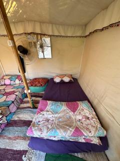 Muhra Camp Siwa - Siwa - 1