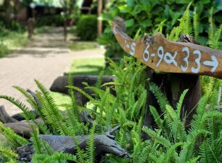 Tsitsikamma Lodge & Spa - 2