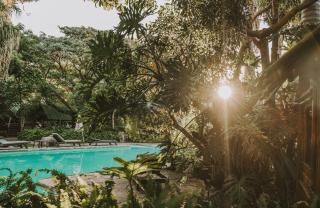 Tsitsikamma Lodge & Spa - Stormsrivier - 2