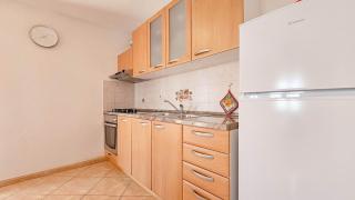 Viola One - Novigrad - 2