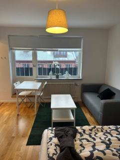 Private Terrace Apartment With Cozy Feeling - Göteborg - 5