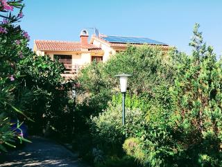 Adria apartments - Sveti Filip i Jakov - 9