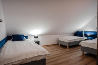 Apartament w Winiarni - Dąbrówka Szczepanowska - 8