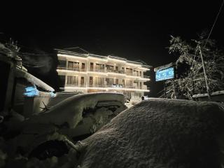 Hotel NSB Manali - 8