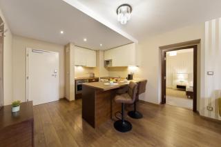Pilsner Apartments - U Borského parku - Plzeň - 8