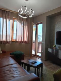 Apartman 310 - Zlatibor - 8