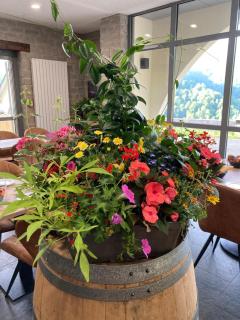 Auberge des isards - Aydius - 1