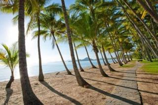 'Hibiscus Haven' Resort-style Chic by the Beach - Palm Cove - 5
