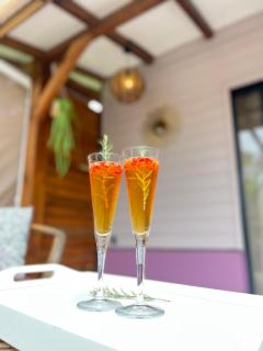 Cocon des jardins - Bungalow & SPA - 1