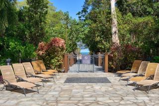 Melaleuca - A Tropical Treasure at Temple Resort - Palm Cove - 8