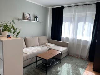 Haus mit 3 Apartments im Zentrum von Rostock - Rostock - 1