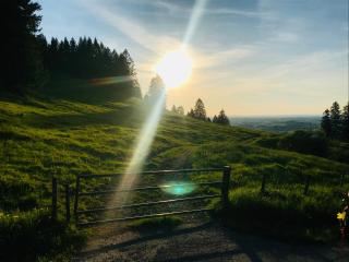 Ferienwohnungen am Mühlbach - Halblech - 2