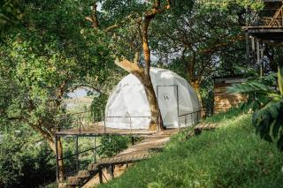 Tropical eglamping - 0