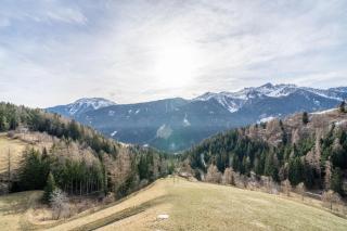 Thalhof Laugen - Ulten - 1