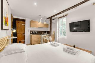 Le Studio des Antiquaires - Studio climatisé - 1