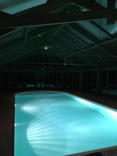 Domaine de la Haute Justerie - piscine & billard à l’orée des bois - Loire Valley - Fondettes - 5