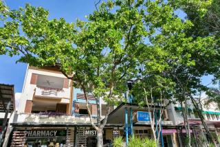 Escape for Two - A Boutique Tropical Treasure - Port Douglas - 5