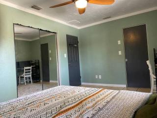 St Pete beach house backyard Jungle Oasis! - Sint-Petersburg - 7