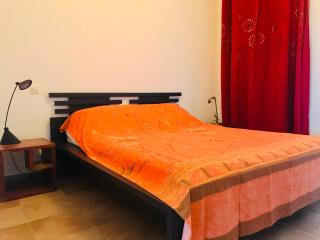 Appartement La Résidence II - 21 LUMIO - Lumio - 5
