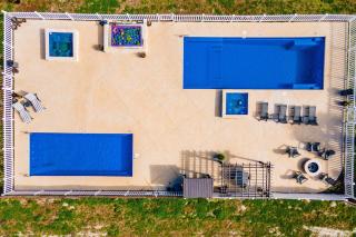 Oyster On A Half-Shell - 8