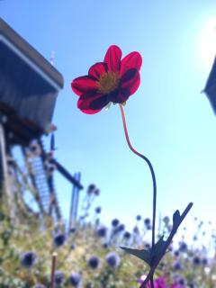 Slapen bij de molenaar - 1