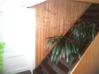 Apartmán 141 - Chřibská - 3