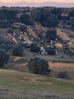 La Pedrosa Casa Rural - Camarzana de Tera - 6