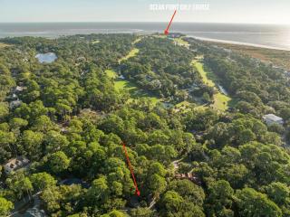 723 Marlin Drive - Fripp Island - 9