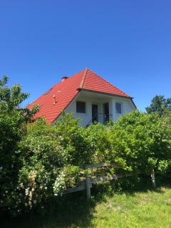 Ferienwohnung Ostseestrandgut - Ribnitz-Damgarten - 7