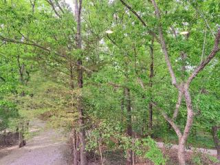 Tribesman Luxury Villa #9 on Table Rock Lake near Silver Dollar City, Branson - Branson - 2