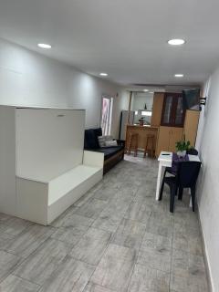 Monoambiente Serena Depto - Mar del Plata - 0