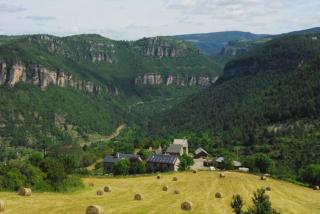 Gites de la Bastide, 30750 Trèves - Tréves - 8