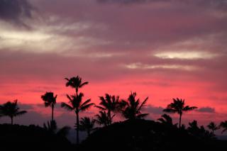 Kiahuna Plantation 96, Poipu Beach, Club Membership, Part Ocean View, Kids Toys - Koloa - 6