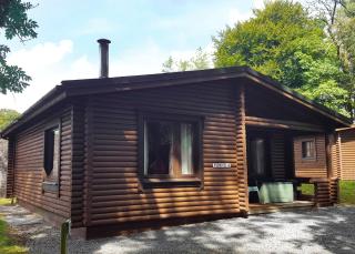 Pantglas Hall Lodges - Llanfynydd - 6
