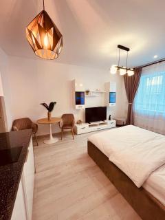 Sudului ApartHotel - Bucharest - 8
