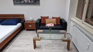 Apartment Flora - late check-out at noon 12 o clock for free - Bratislava - 9