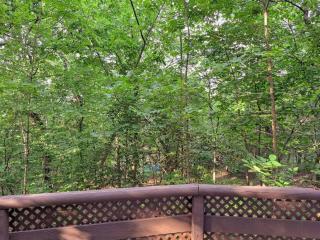 Tribesman Resort Villas # 5 on Table Rock Lake, Branson Mo - Branson - 6