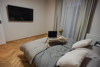Gliwice Dickensa 36A Condo - 4