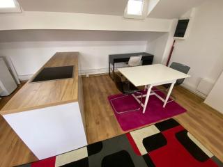 Goga apartman - Dedinje - 4