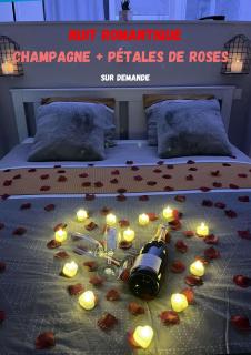 LOFT Jardin et Spa - Bressuire - 8