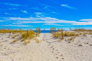 Driftwood Towers #5B - Gulf Shores - 8