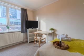 Modern apartment - 15 Mins to London Bridge & Victoria Sleeps 4 - Croydon - 9