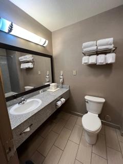 Comfort Suites Boise West Meridian - Meridian - 8