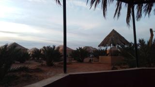 Standard Desert Camp - 2