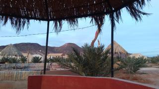 Standard Desert Camp - 4