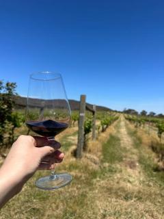 Downing Estate Homestead - Heathcote - 6